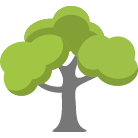 Panama City Beach Tree Removal