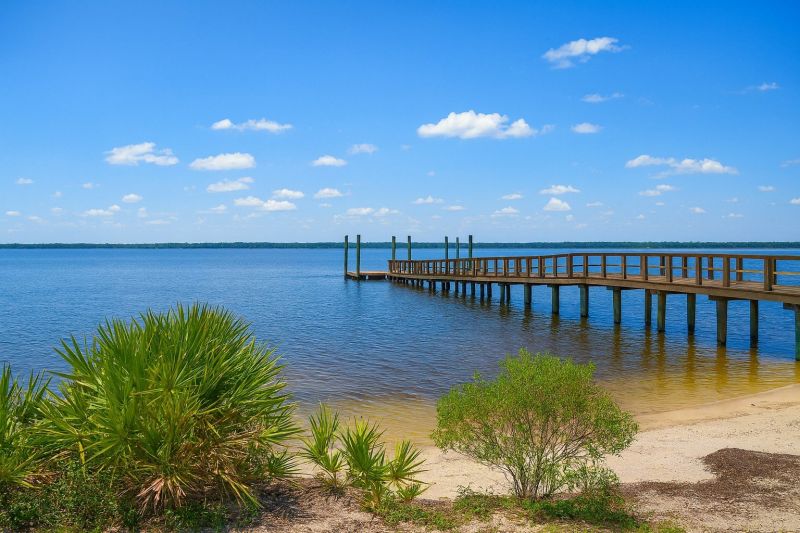 Tree Removal Service in Lynn Haven, FL