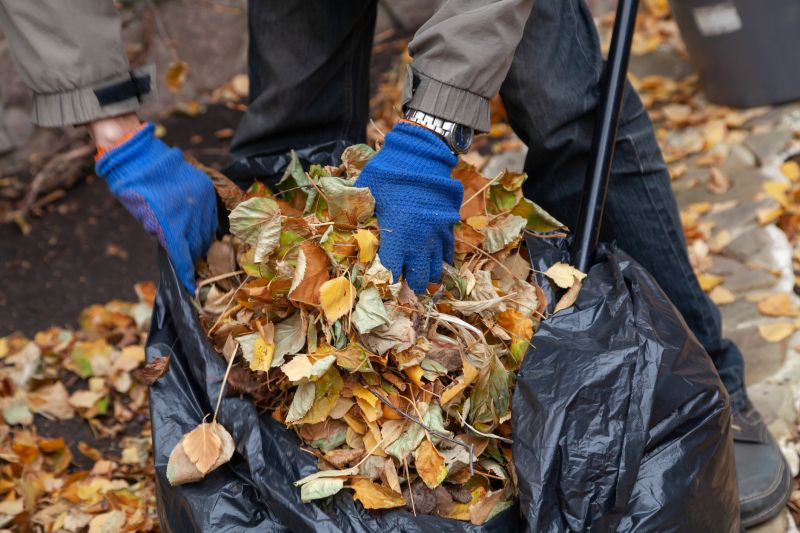 Fall Leaf Removal Service