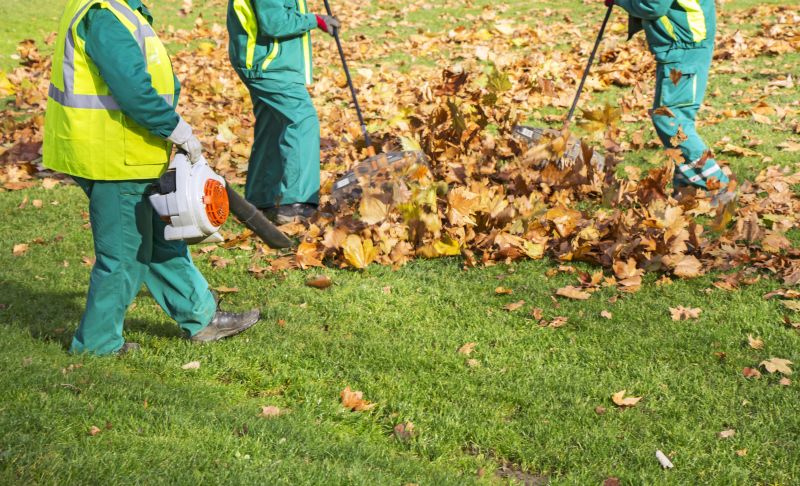 Benefits of Professional Cleanup