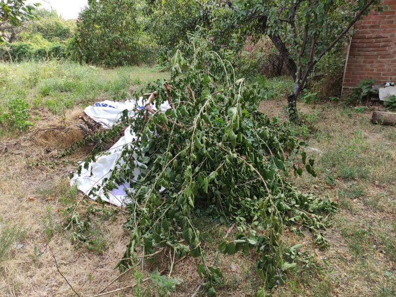 Team Clearing Debris