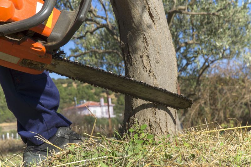 Tree Removal Equipment