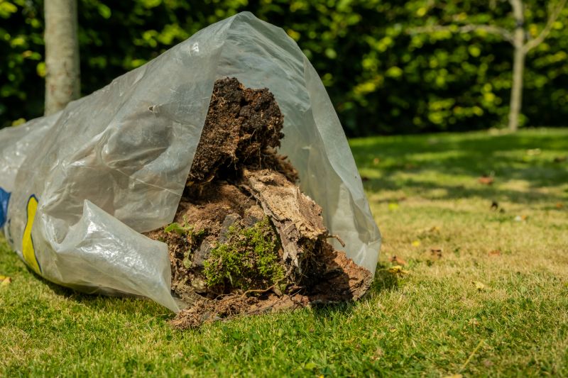 Landscape After Removal