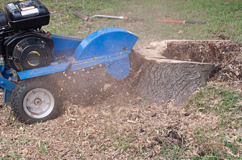 Stump Grinding Finish