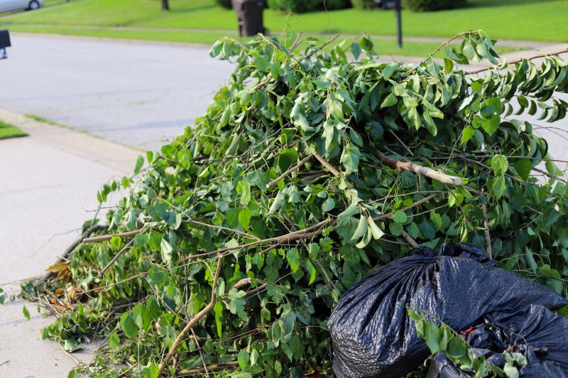 Disposal and Cleanup