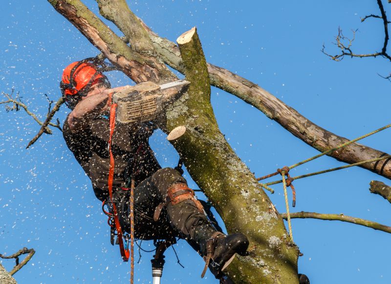 Safety Gear and Equipment
